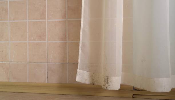 Asbestos and Lead Testing During Mold Inspection in Red Rock, AZ
