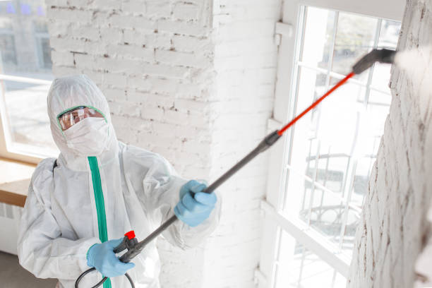 Best Comprehensive Air Testing for Mold Contaminants  in Red Rock, AZ