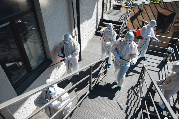 Best Water Damage & Mold Remediation  in Red Rock, AZ