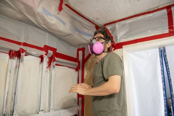 Best Industrial Mold Remediation  in Red Rock, AZ