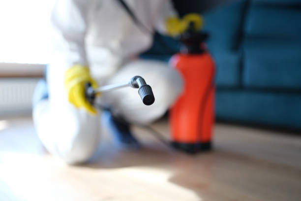 Best Asbestos and Lead Testing During Mold Inspection  in Red Rock, AZ