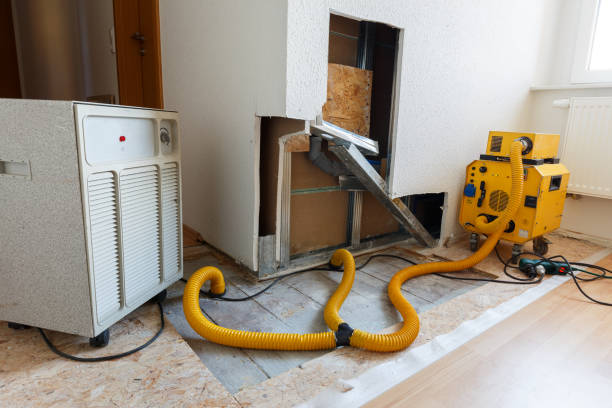Trusted Red Rock, AZ Mold Removal Experts
